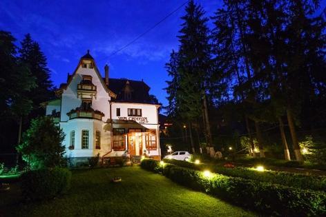 Vila Camelia Hotel Sinaia Exterior photo