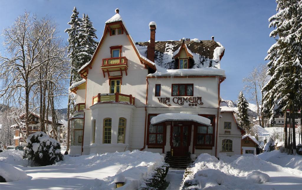 Vila Camelia Hotel Sinaia Exterior photo