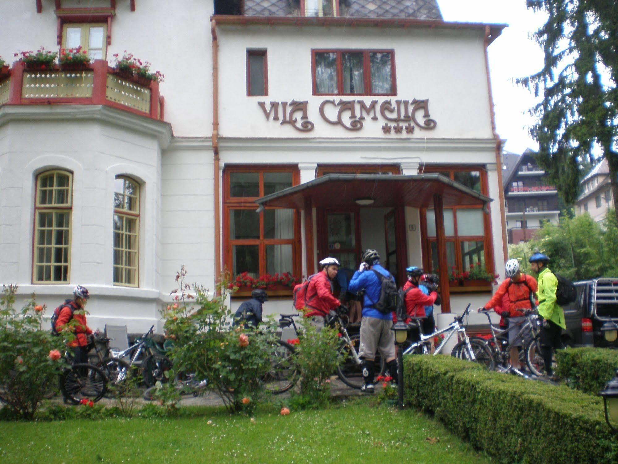 Vila Camelia Hotel Sinaia Exterior photo