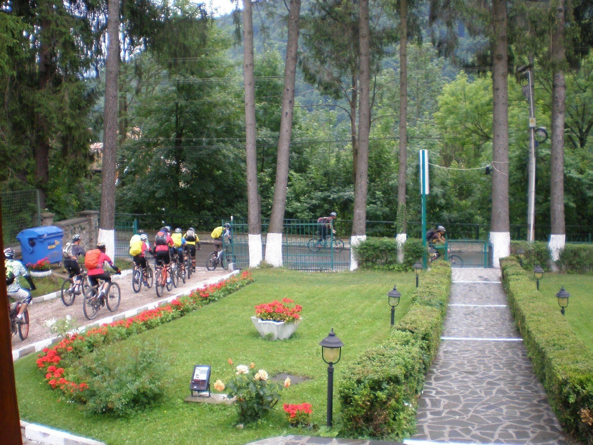 Vila Camelia Hotel Sinaia Exterior photo