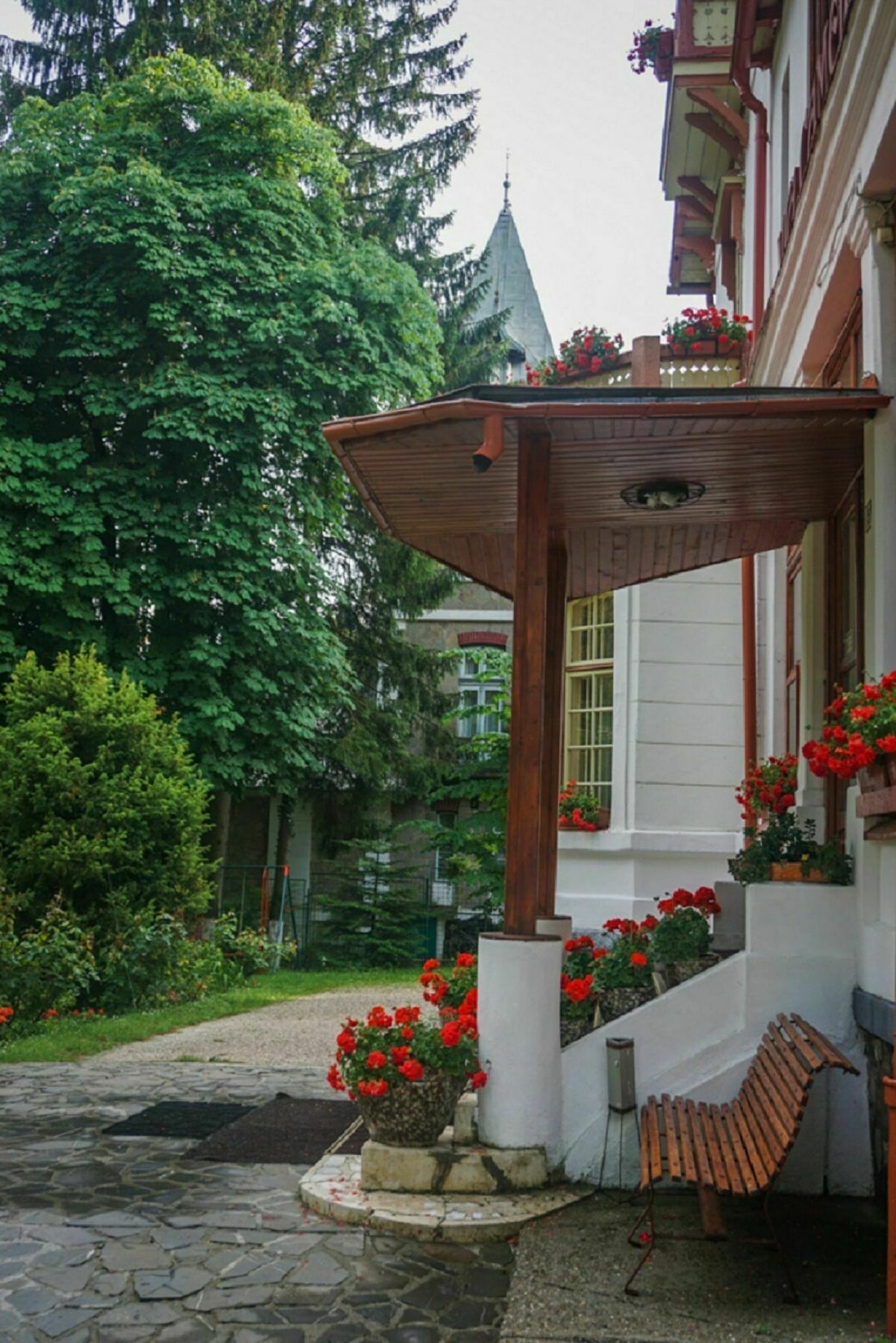 Vila Camelia Hotel Sinaia Exterior photo