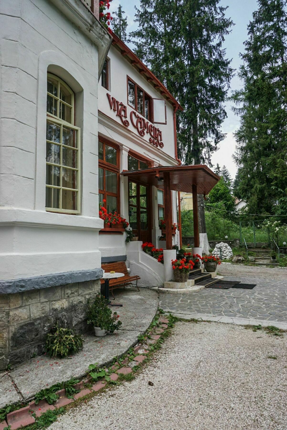 Vila Camelia Hotel Sinaia Exterior photo